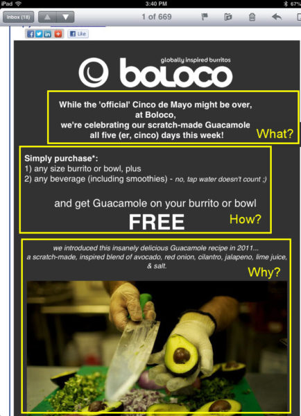 Boloco1