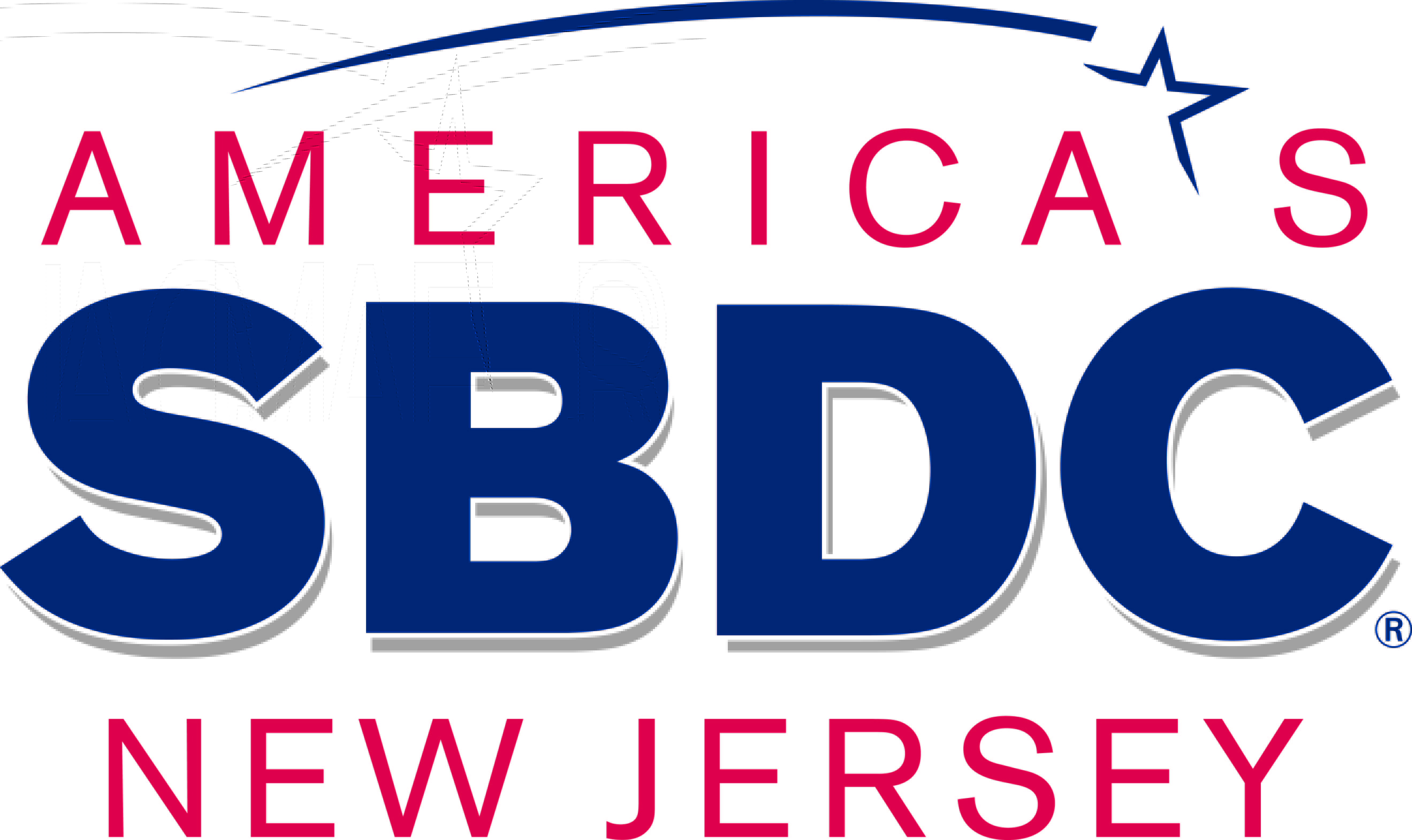 NJSBDC Logo/ Branding