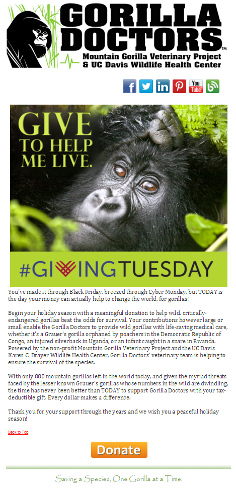 Giving Tuesday email example