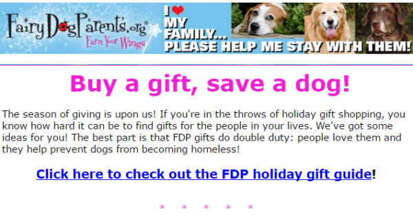 nonprofit gift guide email example