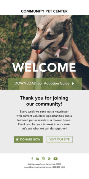 Email Automation for e-commerce