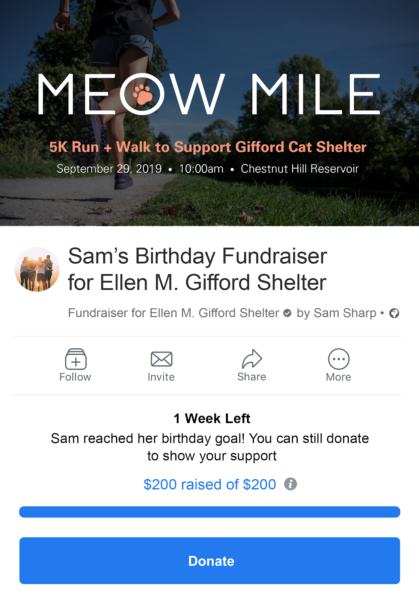 Facebook ad for nonprofits - Meow Mile fundraiser for Ellen M.Gifford Shelter
