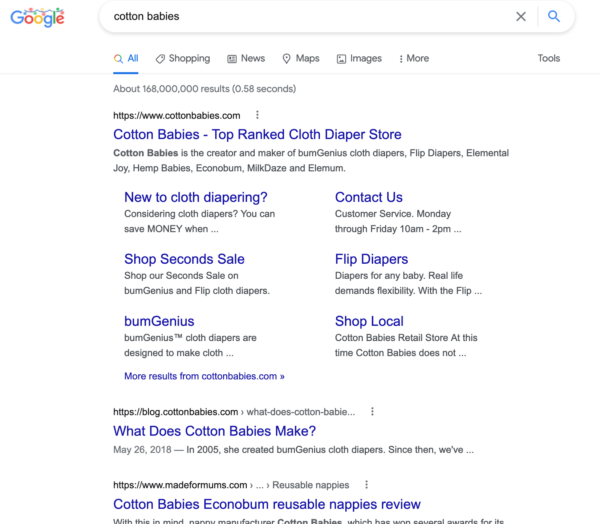 example of Google search results page